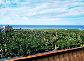 Apartamento El Tejar